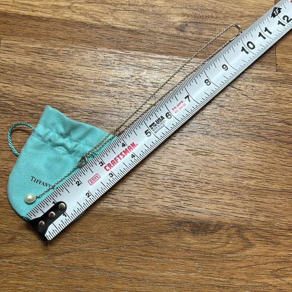 Elsa Peretti x Tiffany Necklace - Picture 2 of 7